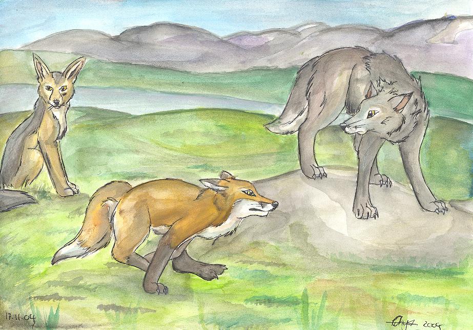 Three Wild Dogs for Komirra by LiquidOnyx