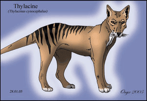 Thylacine by LiquidOnyx