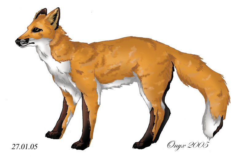 Red Fox by LiquidOnyx