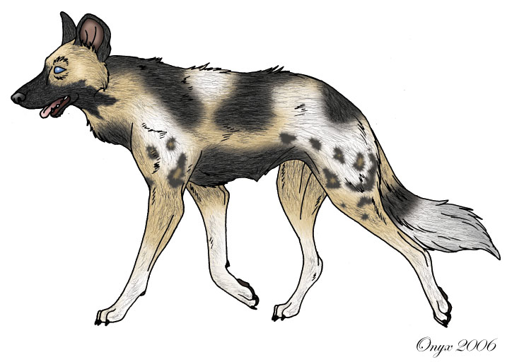 Cape Hunting Dog for Nifty by LiquidOnyx