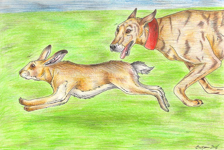 Hare Coursing by LiquidOnyx