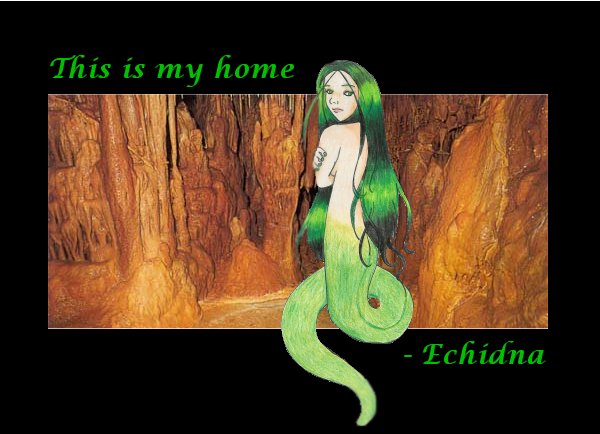 Echidna by LittleWashu