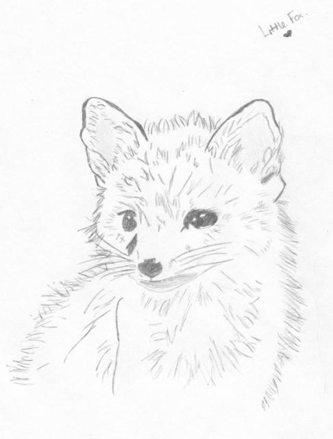 Little Fox! by Littleone34