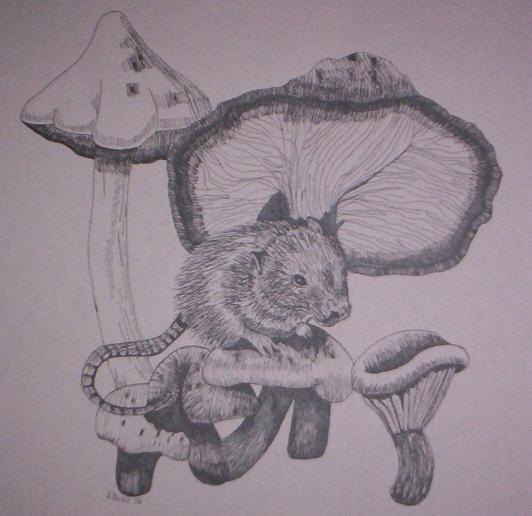 Moucey an a Mushroom by Living_Dead_Girl