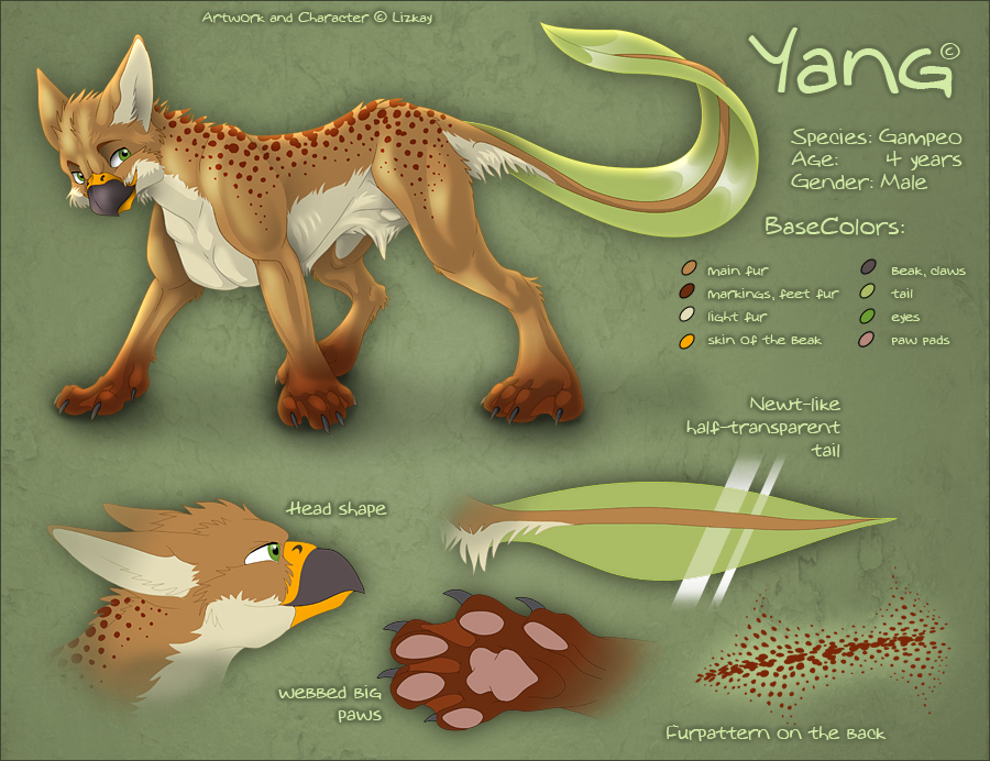 Yang - CharacterSheet by Lizkay