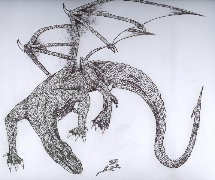 fantasy dragon by Loesje
