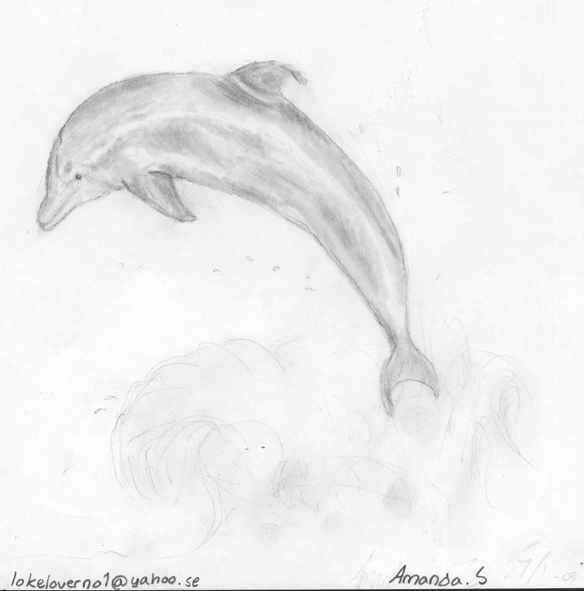Bottlenose dolphin by Lokeloverno1