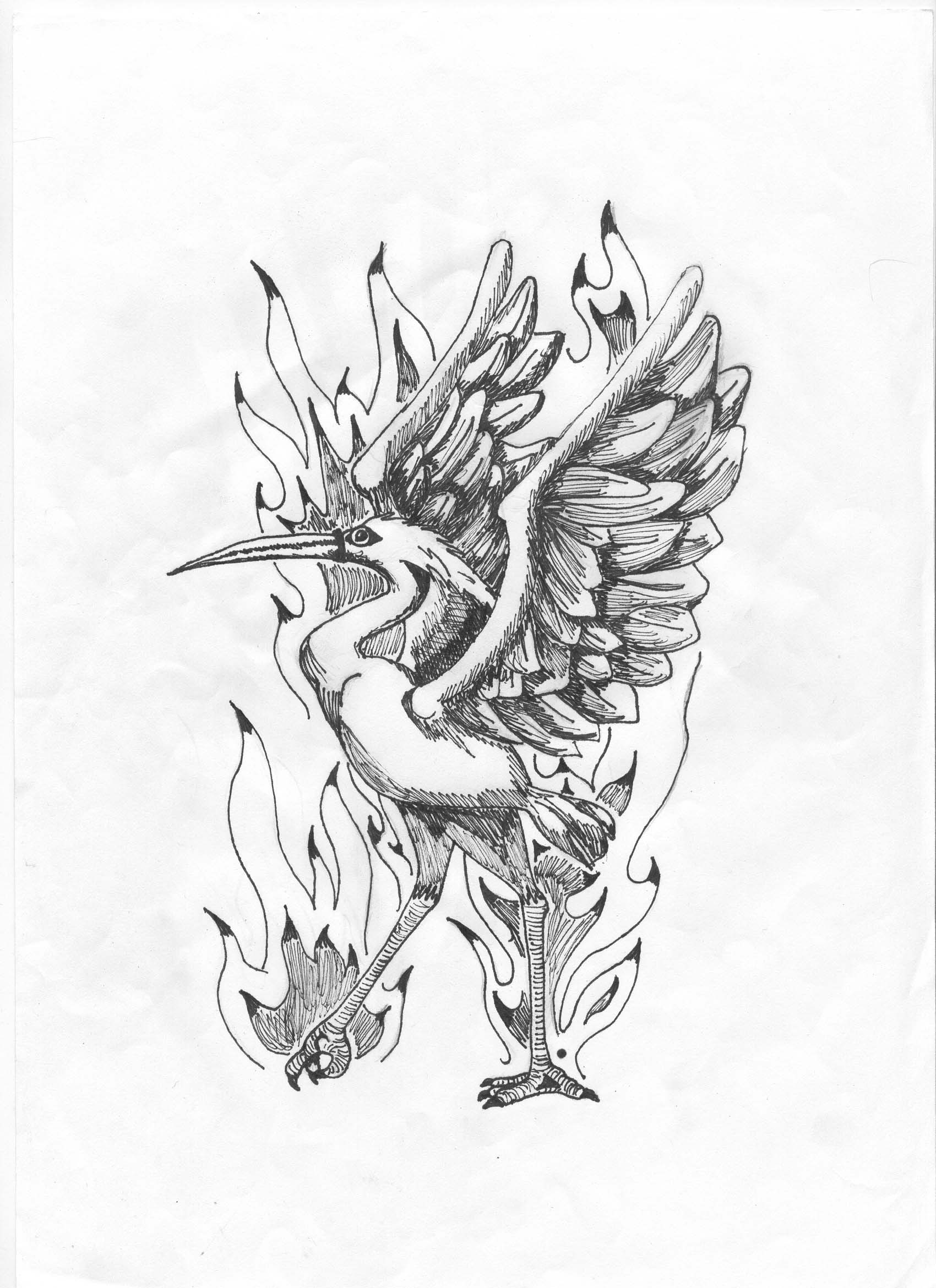 Phoenix by Lollysan