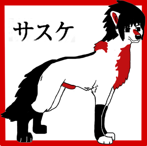 Sasuke Wolf Ref by Lonewolfshadowuchiha
