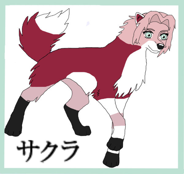 Sakura Wolf Ref by Lonewolfshadowuchiha