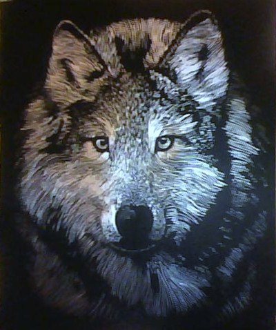Wolf head by LouisejDK
