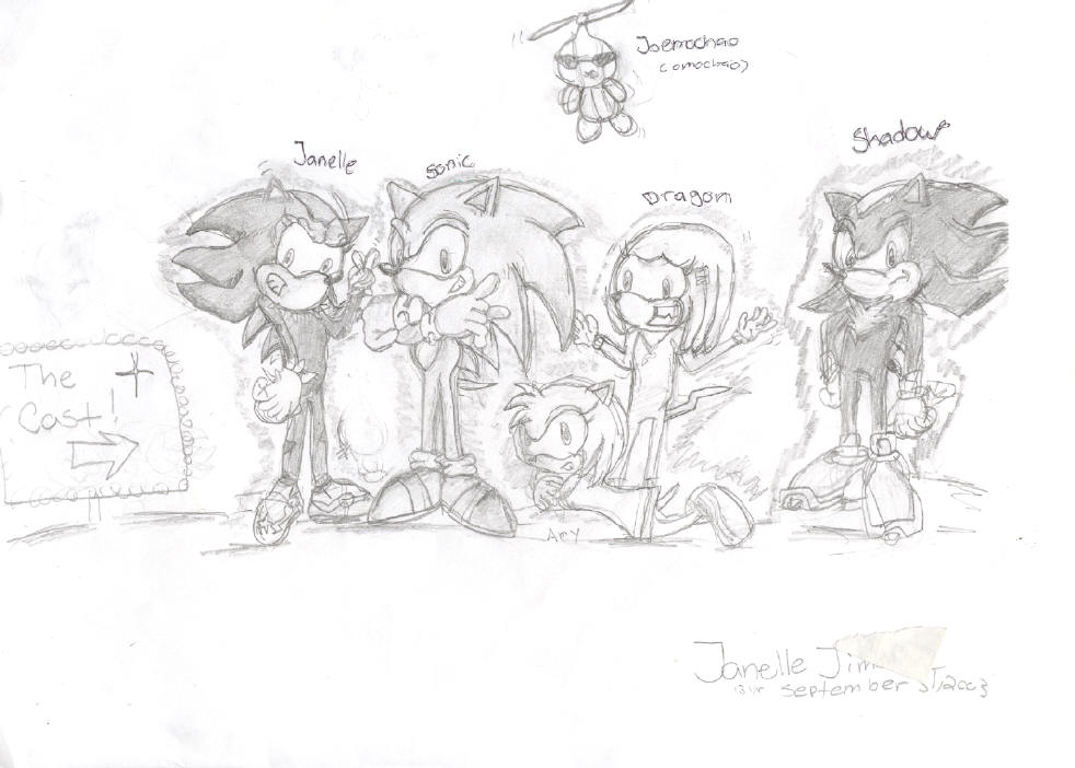 Its the CAST! well it is... by LovinShadowTheHedgehog