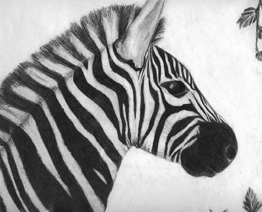 zebra by Lucretia_Nicole