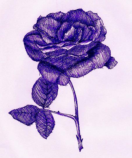 rose 2 by Lucretia_Nicole