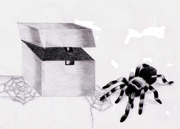 spider in the box by Lucretia_Nicole