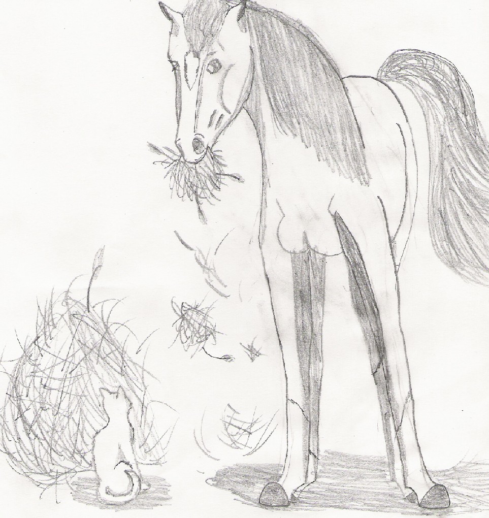 The Horse and the Cat by LunaWolf