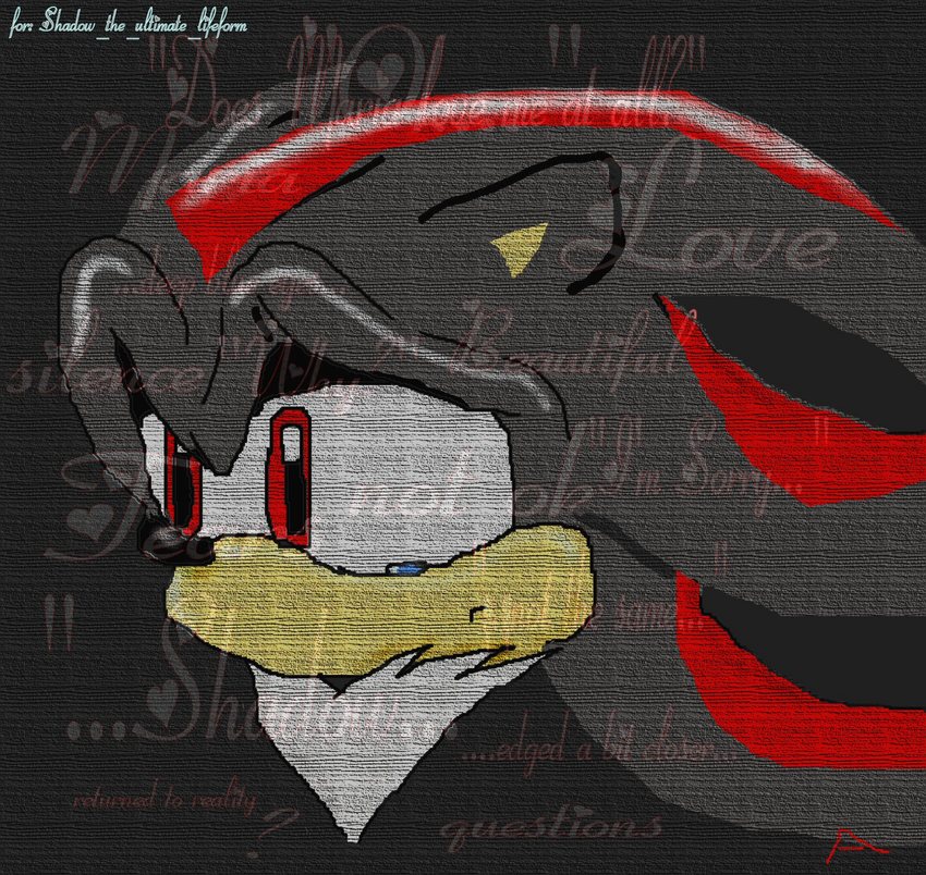 (uh-k I know it's crappy) A gift for Shadow_the_ul by Luna_the_Hedgehog