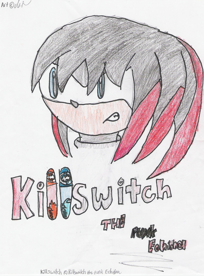 Angry Killswitch (for Killswitch_the_punk_echidna) by Luna_the_Hedgehog