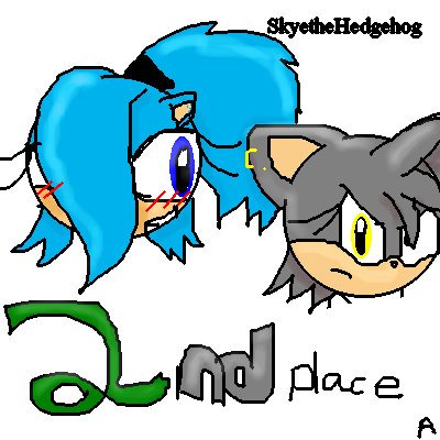 2nd place- SkyetheHedgehog by Luna_the_Hedgehog
