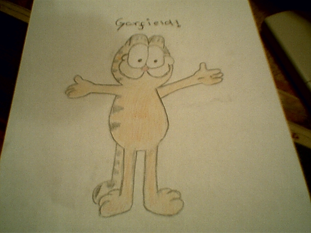 Garfield by lady1