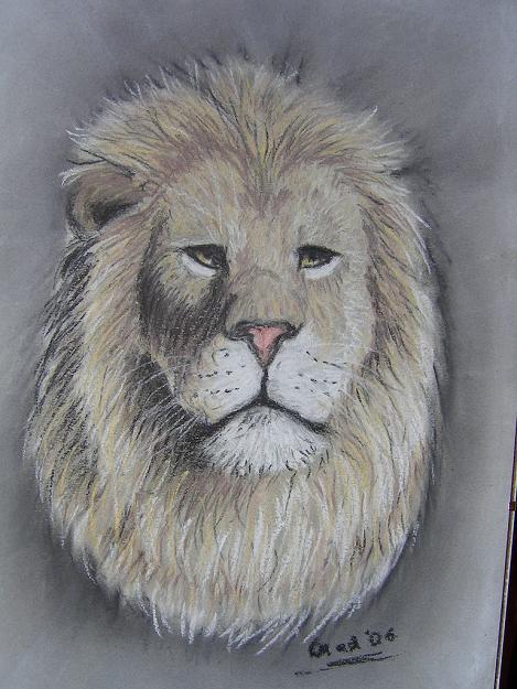 Lion by lady_nitemare