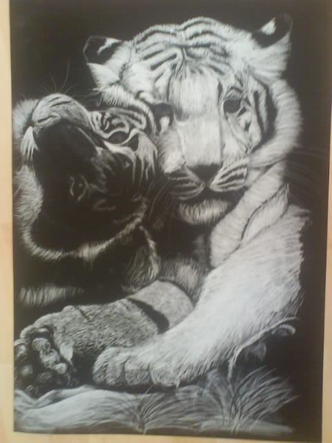 tiger by lady_nitemare