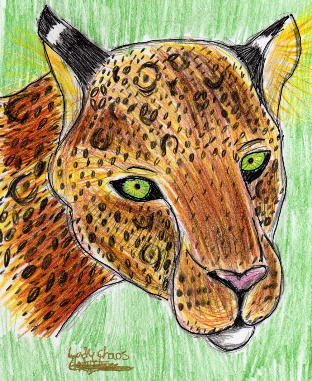 Leopard for Fairywarrior by ladychaos