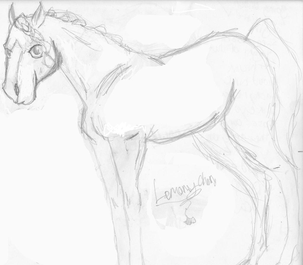 Horse - because I canz -_- by lemony_chan