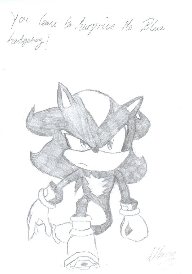 Shadow The Hedgehog by leontheechidna