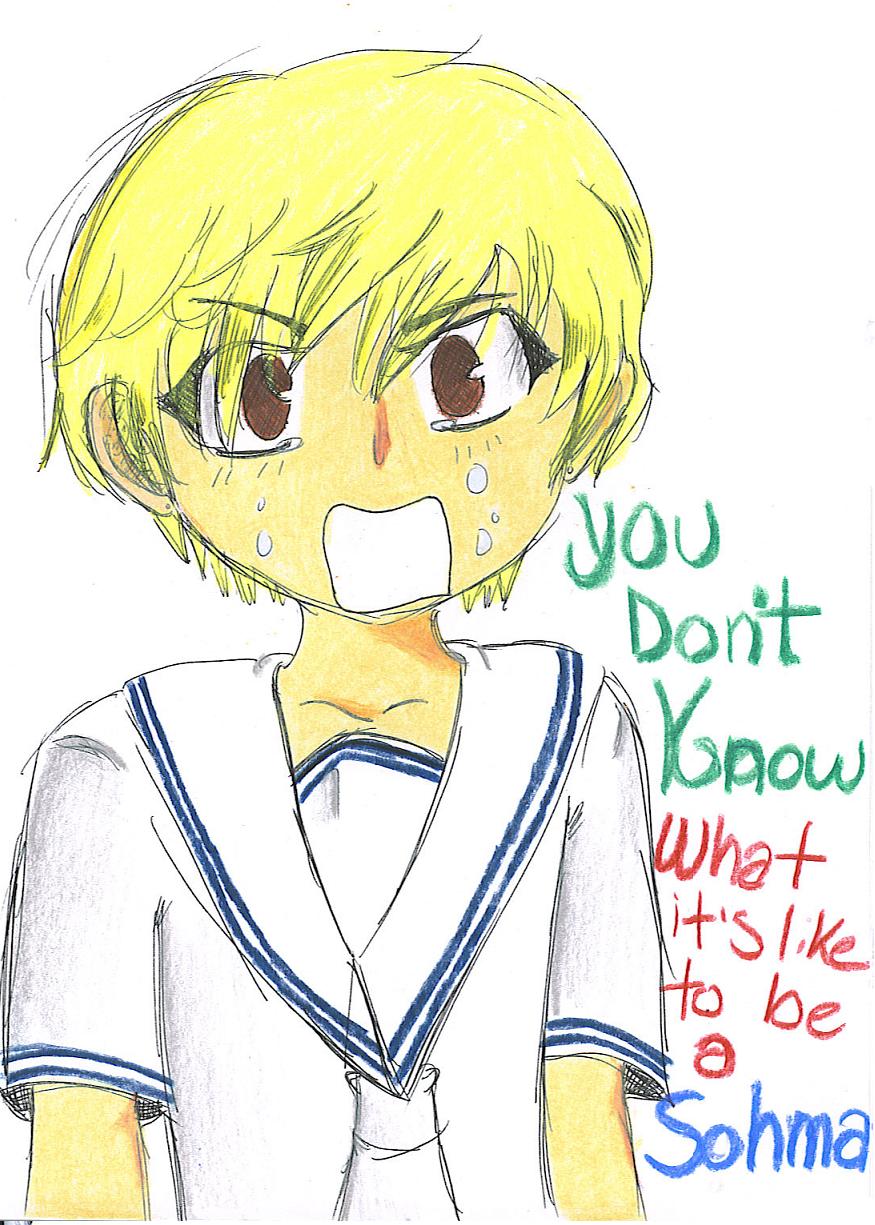 FB: you Don't Know what its like to be a sohma by libertythehedgie