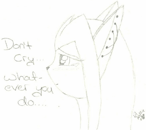 Don't cry... by lil_wolfie_gone_bad