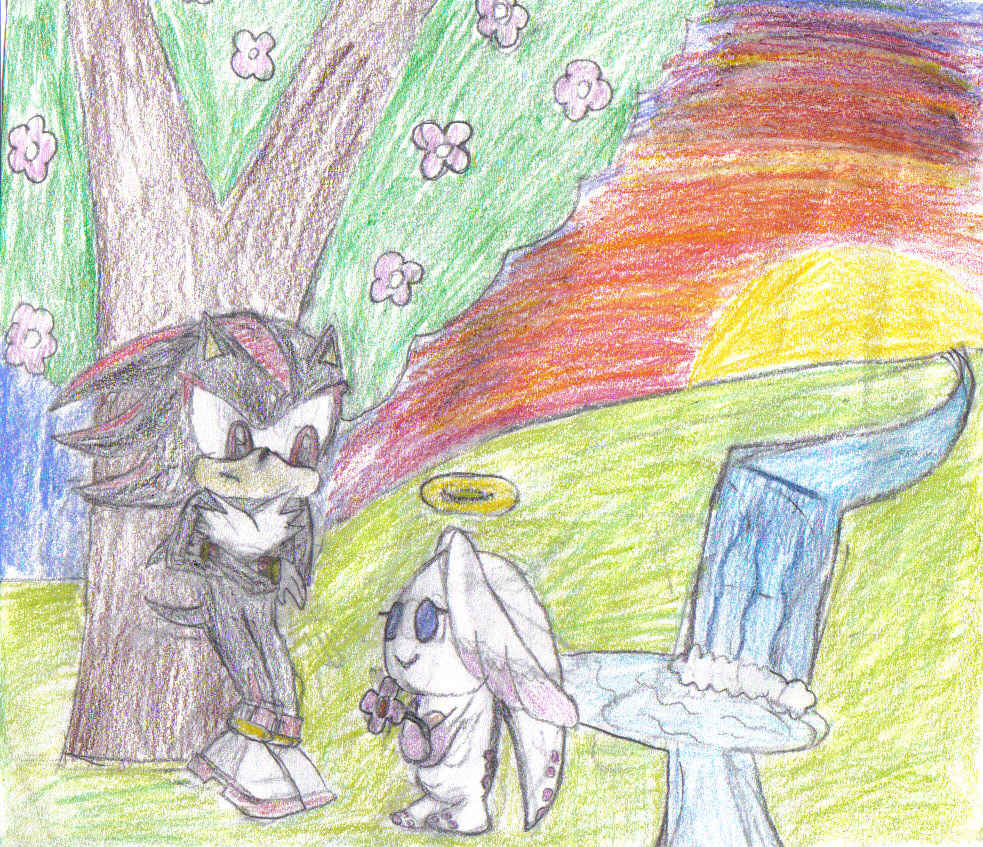 Shadow's Chao by lilshadowlover642