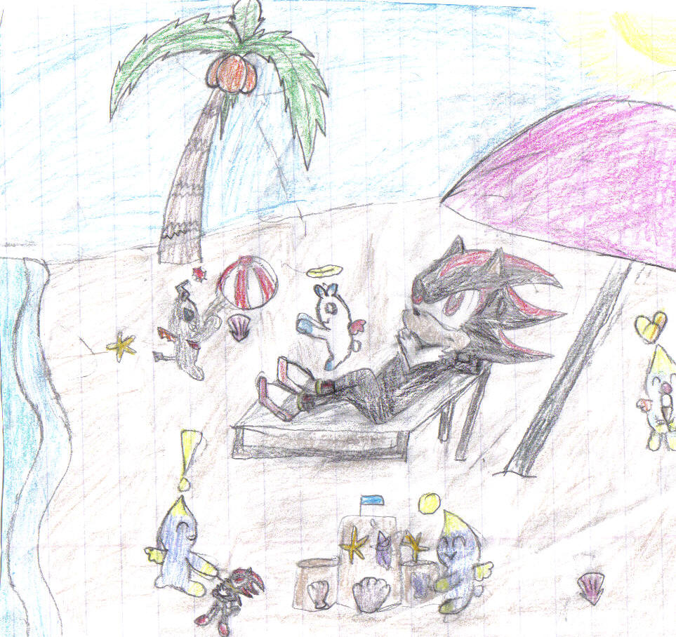Shadow at  the beach by lilshadowlover642