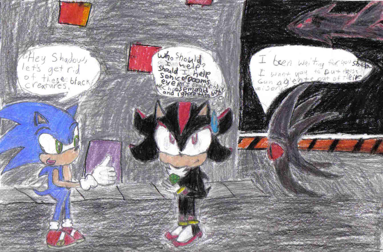 Shadow's hard descision by lilshadowlover642