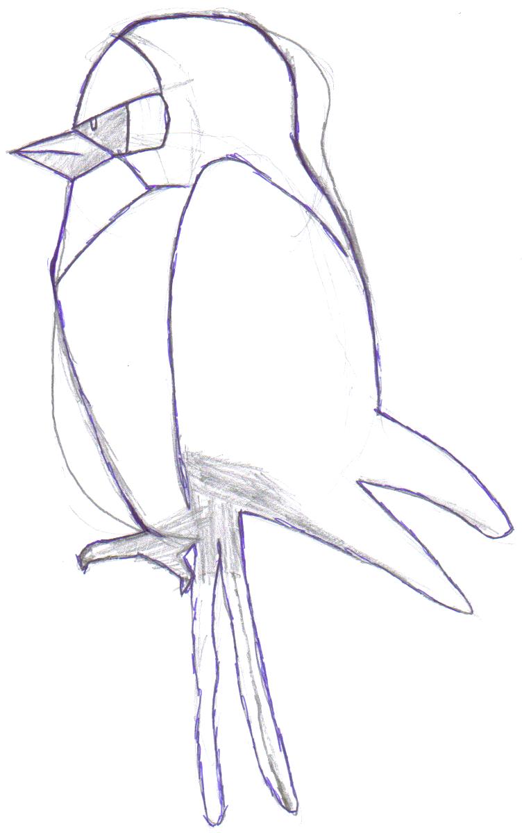 Taillow (Non-Colour) by lim