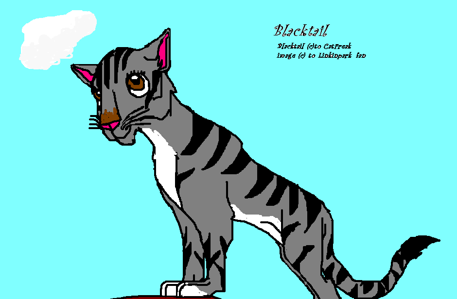 Blacktail for cat freak by linkinpark_fan