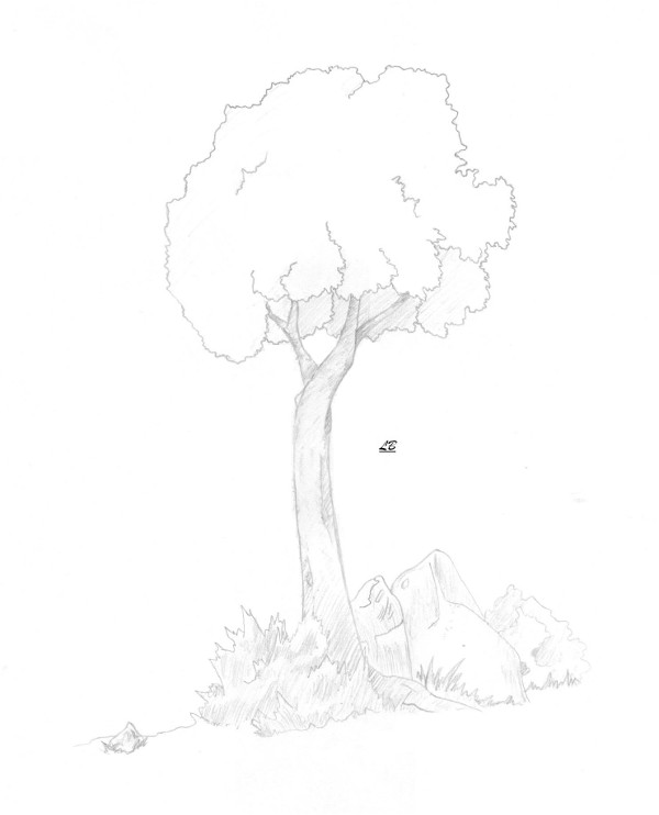 A Random Tree by llama_boy