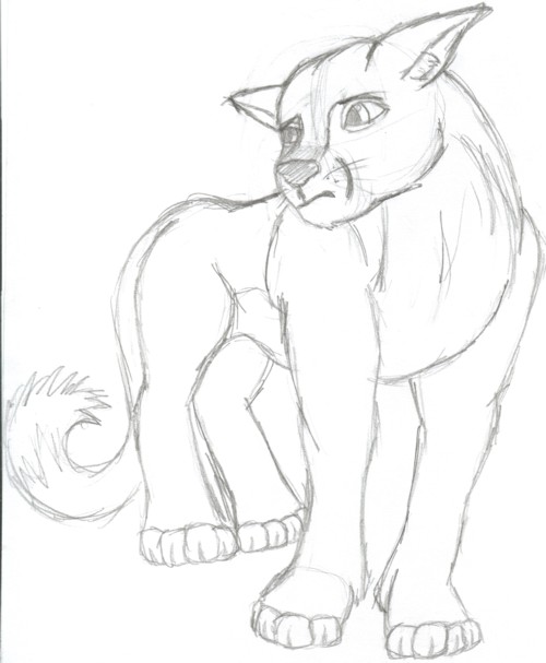 lioness sketch by love_2_write_stuff