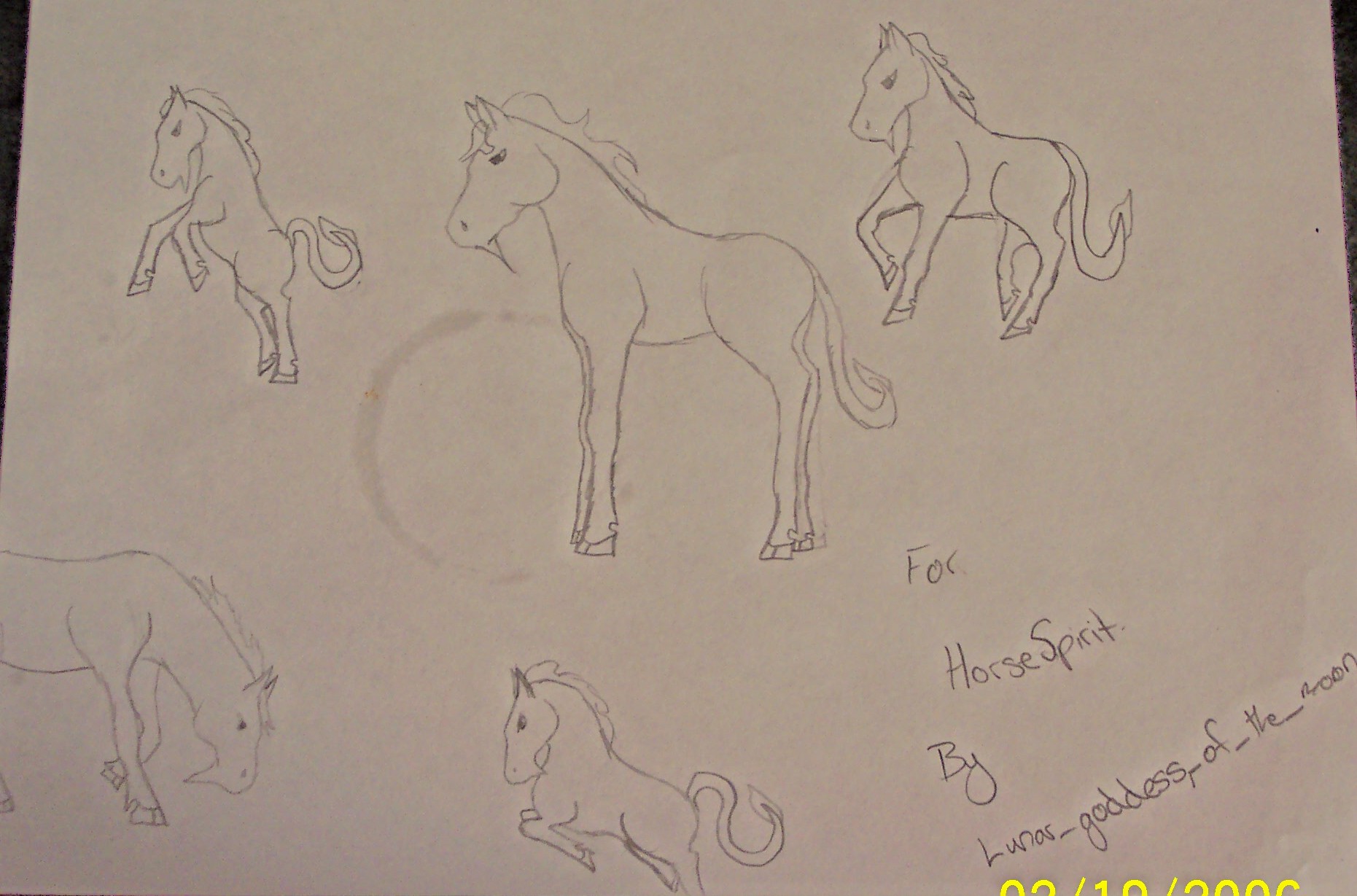 horses for HorseSpirit by lunar_goddess_of_the_moon