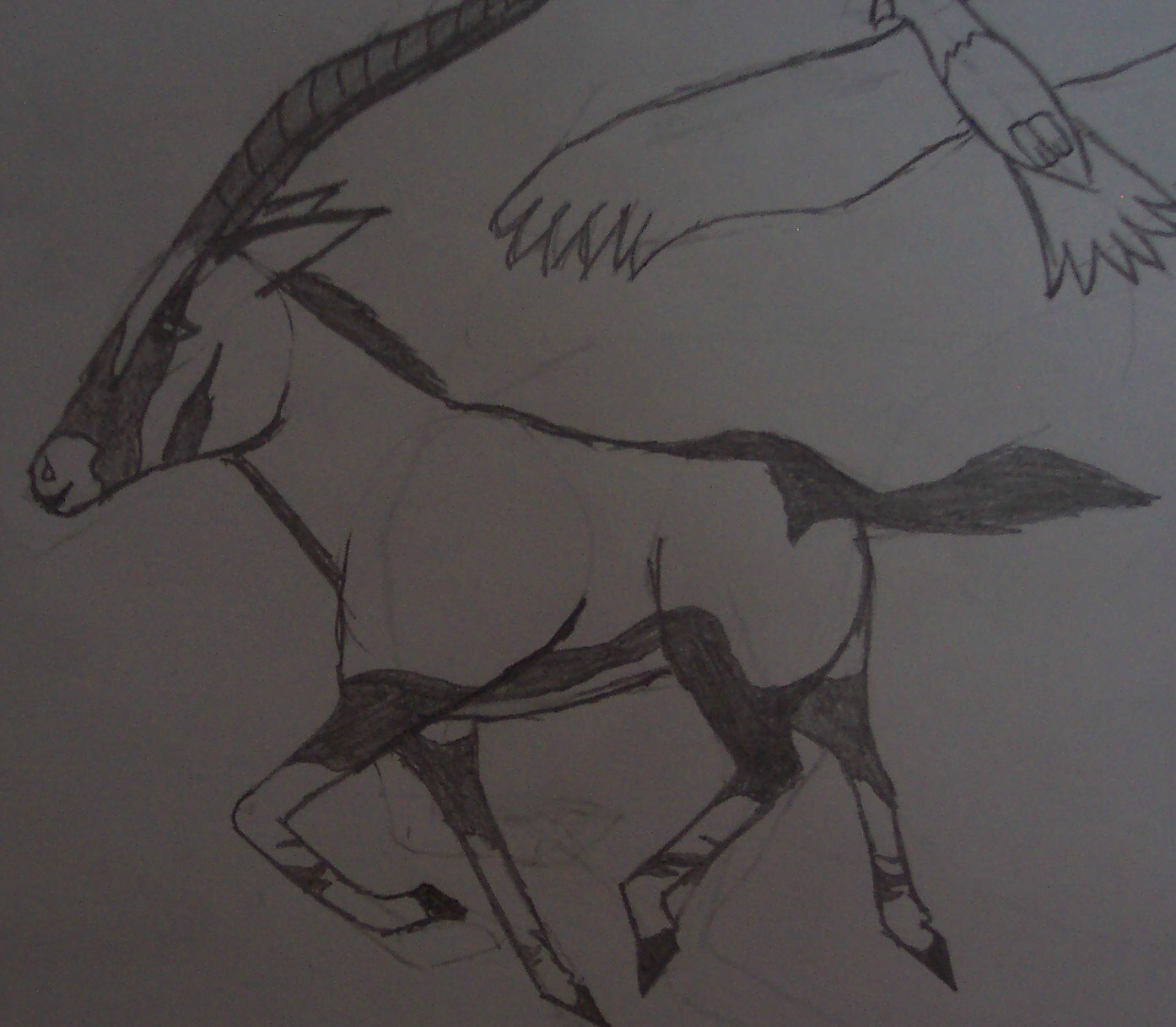 oryx by lunar_goddess_of_the_moon