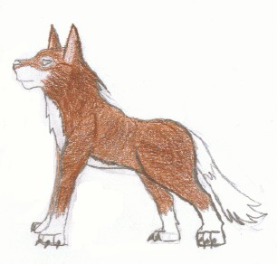 brown wolf by lunar_goddess_of_the_moon