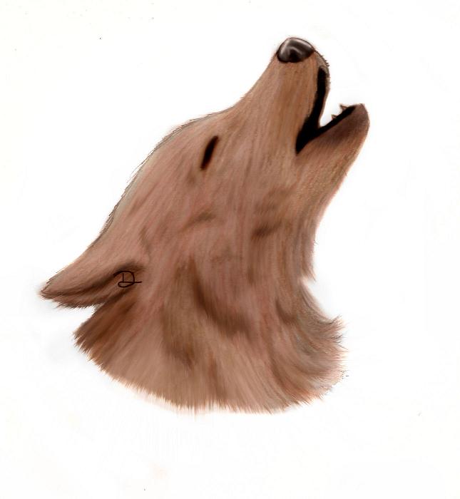 Wolf howling by MCRNoTPUNKY