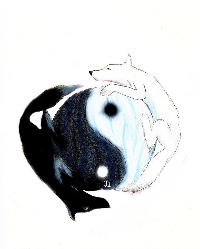 yin yang by MCRNoTPUNKY