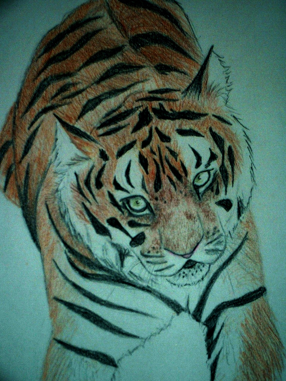 Tiger-Full Body by Madsista