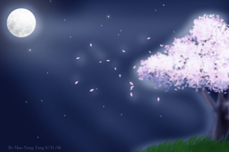 Dreary Sakura Night(smaller version0 by Mae-Mae-Chan27135