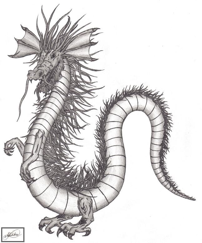Spiny Dragon by Maestro