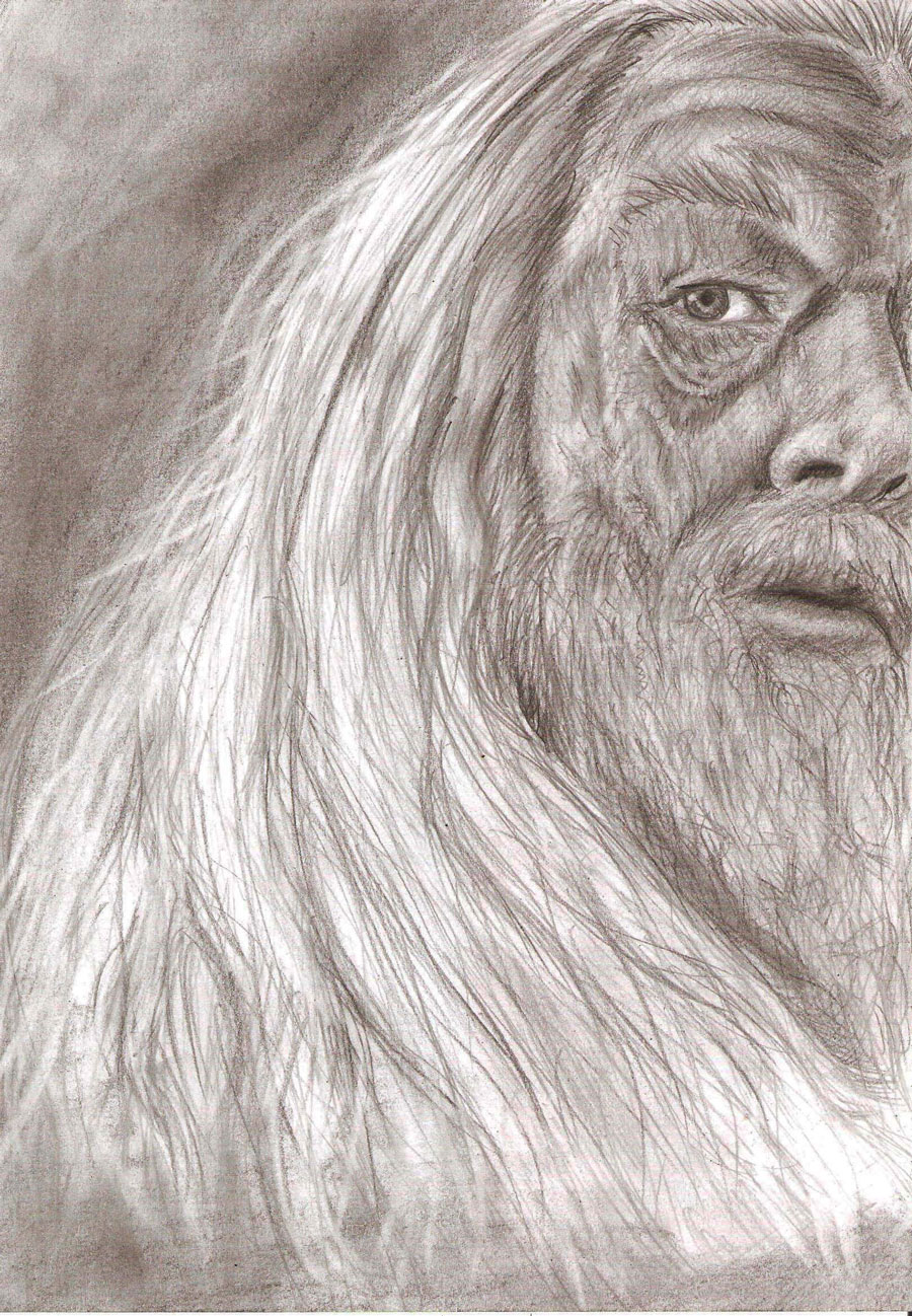 Albus Dumbledore by MajaGantzi