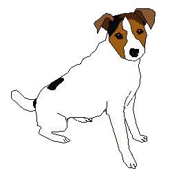 jack russel terrier by Malachite