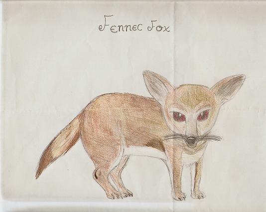 Fennec Fox :) by Malachite