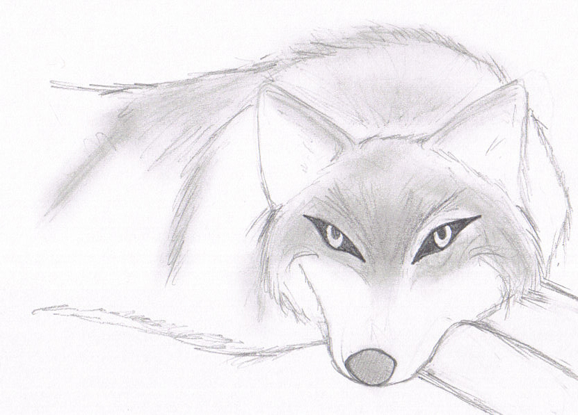 Shadow the Wolf by Malik_fan_girl